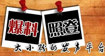 周四最新爆料新闻,揭秘重大新闻背后的惊人真相 第1张 周四最新爆料新闻,揭秘重大新闻背后的惊人真相 第1张